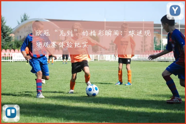 欧冠“见到”的精彩瞬间：球迷现场观赛体验纪实