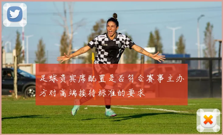 足球贵宾席配置是否符合赛事主办方对高端接待标准的要求