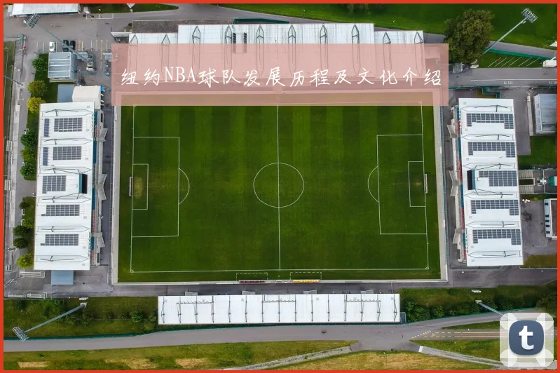 纽约NBA球队发展历程及文化介绍